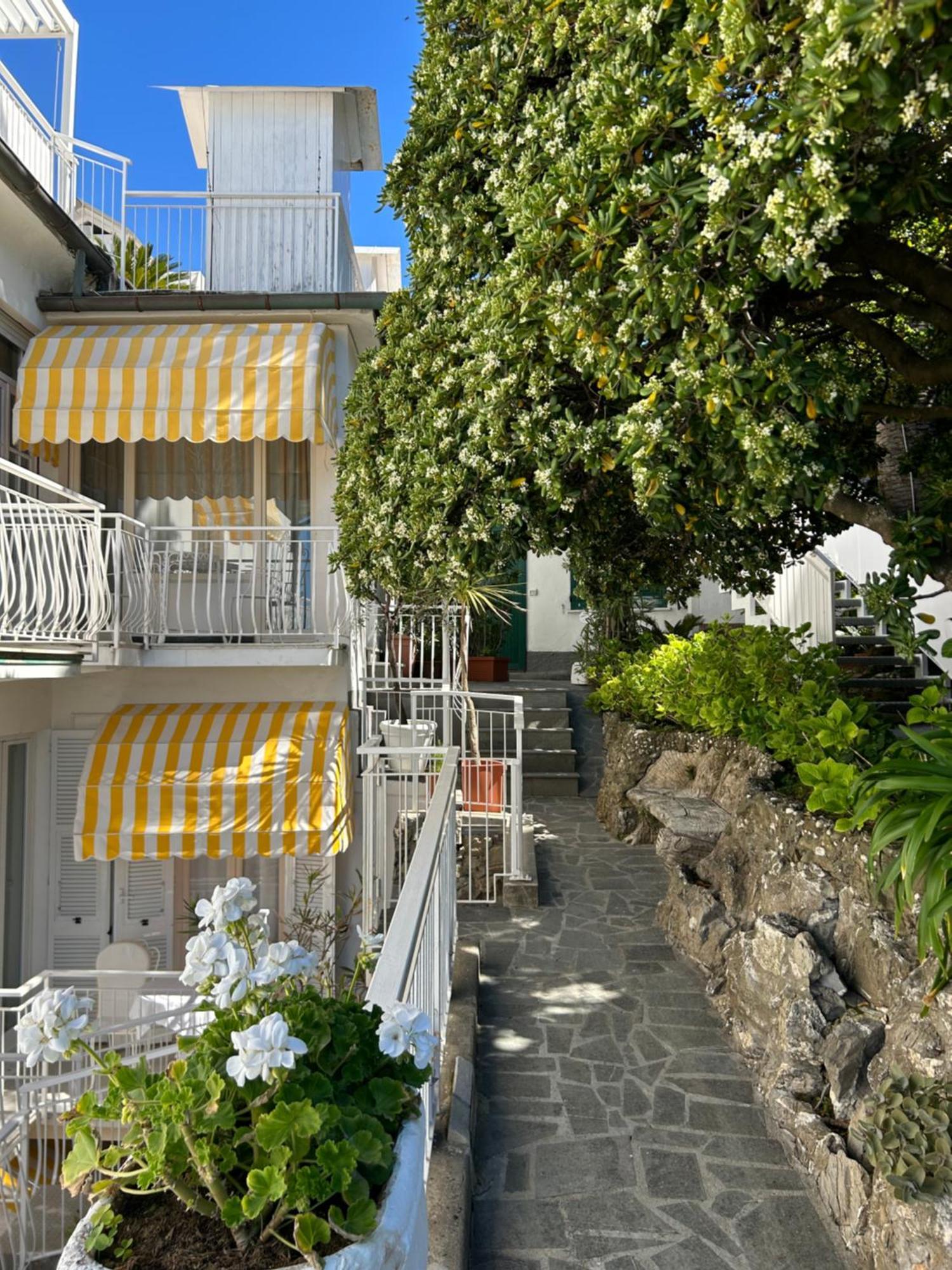 Hotel Helvetia Sestri Levante Exterior foto